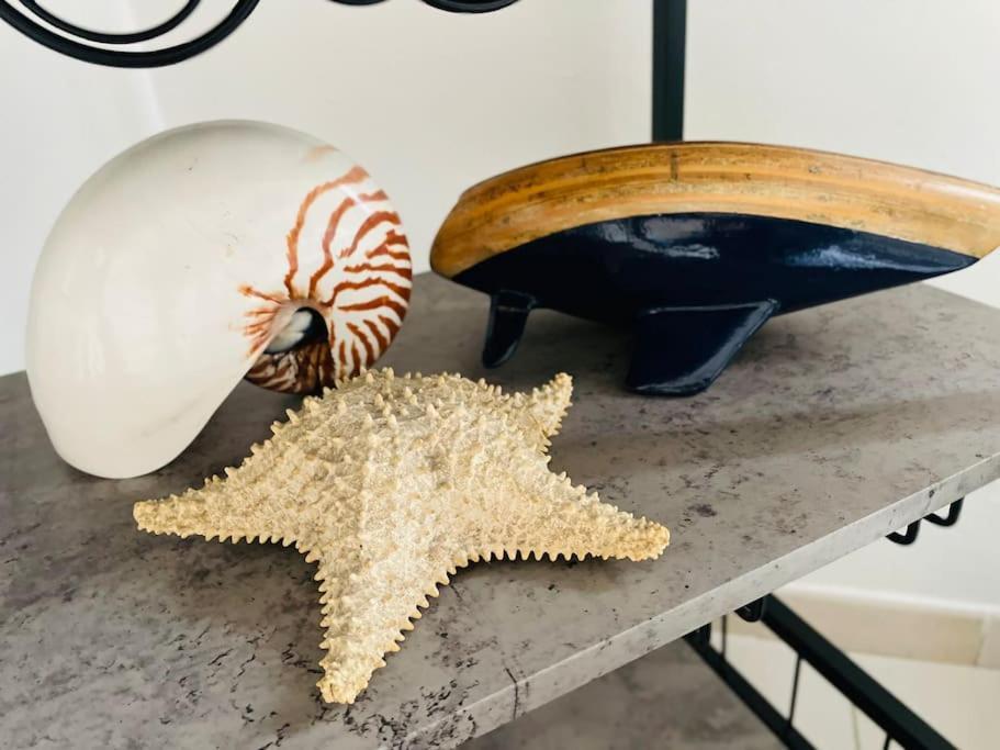 La Venezia'S Studio Flat Livorno Eksteriør bilde